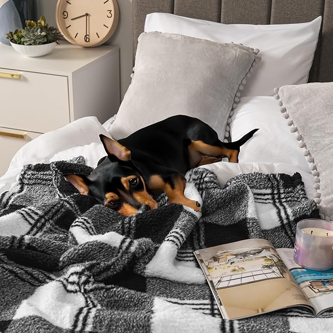 PAVILIA Sherpa Throw Blanket for Couch Sofa, White Black Fluffy Warm Plush Blanket for Bed, Cozy Super Soft Lightweight Throw, Fuzzy Decorative Blanket, All Season Home, 50x60