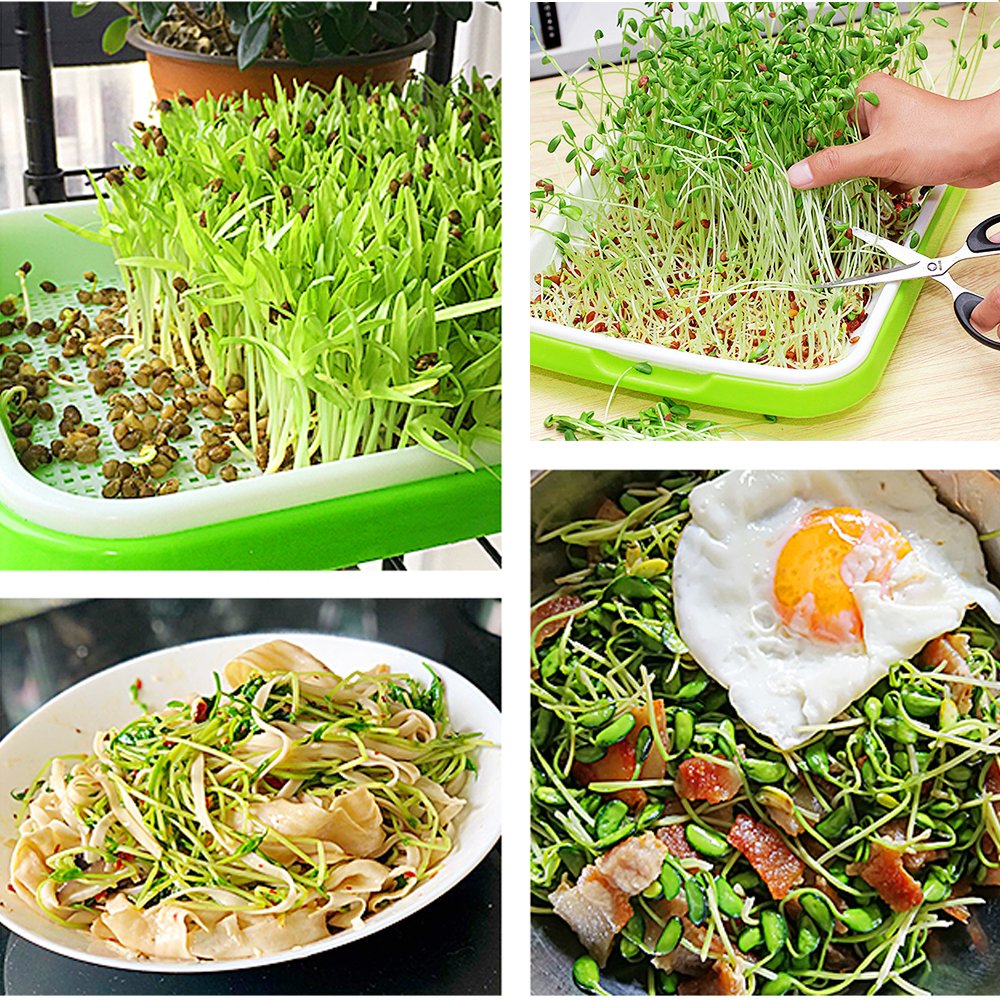4 Layers Sprout Trays with Extra Strength Plastic Shelf Soil-Free Healthy Wheatgrass Seeds Grower & Storage Trays for Garden Home Office