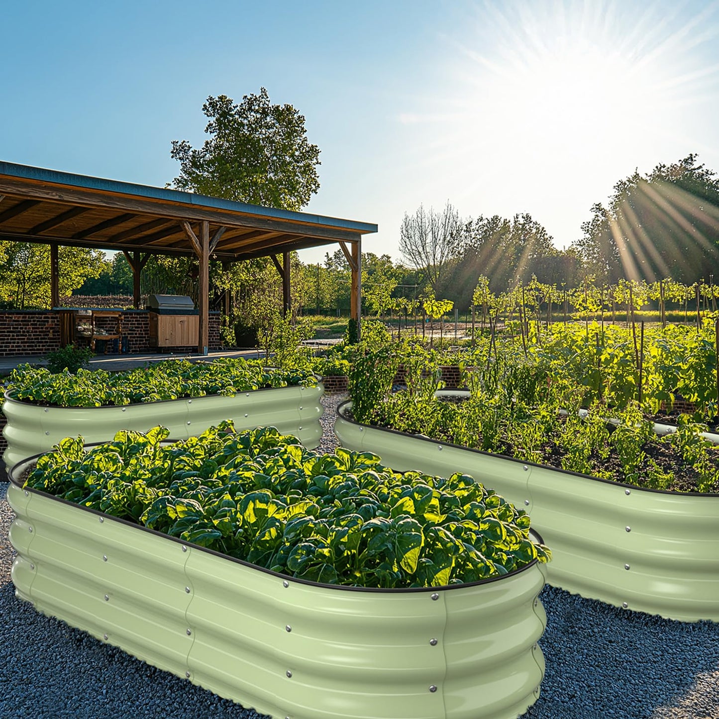 Winpull Raised Garden Bed Kit, 5x2x1 ft Galvanized Planter Box Outdoor with Safety Edging, Large Metal Raised Beds for Gardening Vegetables Flower Fruits (Avocado Green)