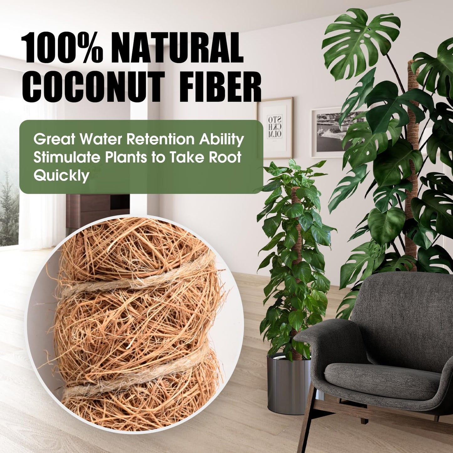3 Pack Moss Pole 63 Inch Monstera Plant Support Moss Poles Bendable for Climbing Plants Longer Coco Coir Sticks Support Stakes Tall for Indoor Creeper DIY Shape Plants Grow Upwards