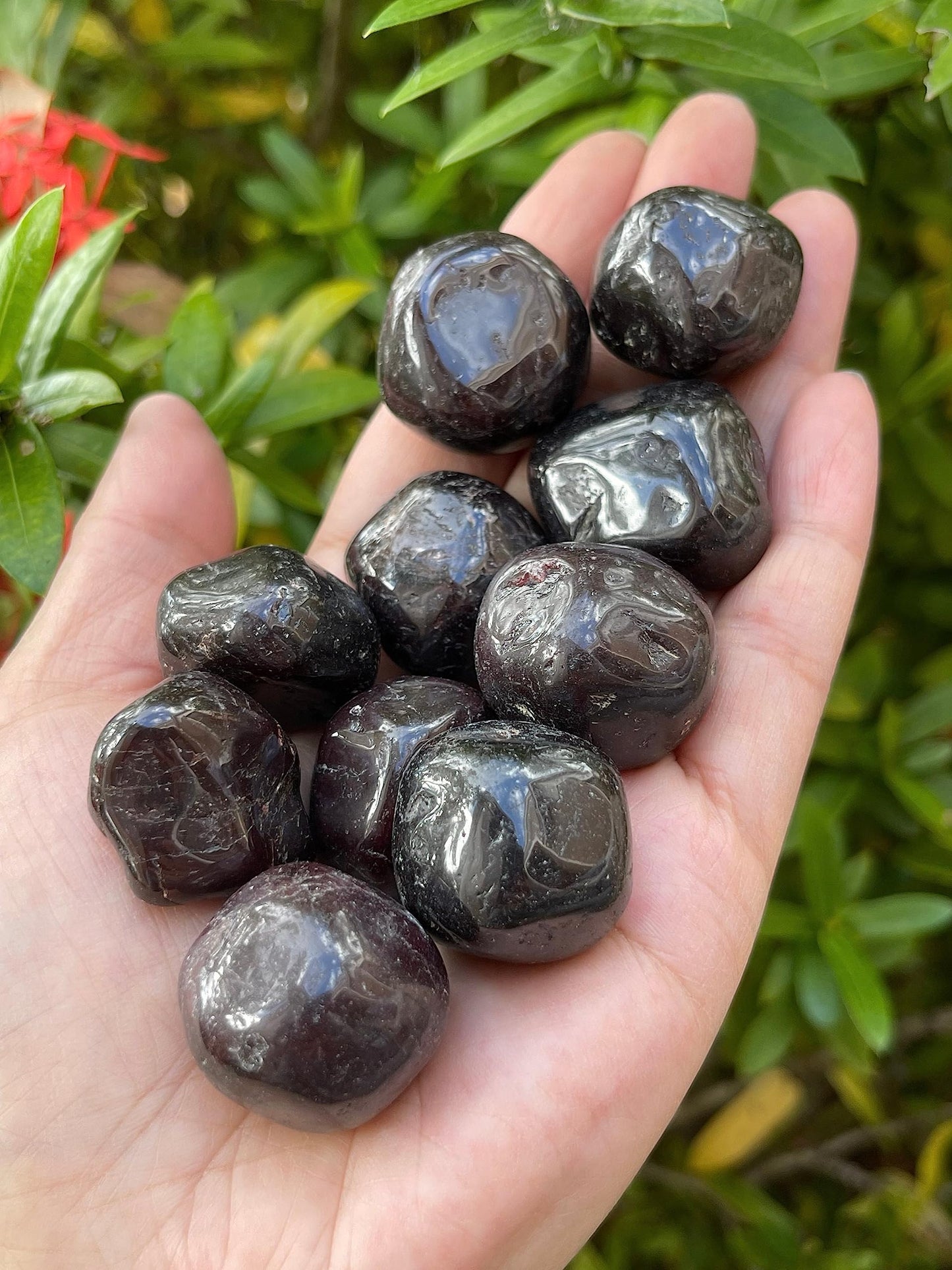 GAF TREASURES 5 Pcs Garnet Tumbled Stones, Polished Garnet Gemstone, Garnet Healing Crystals (Garnet)