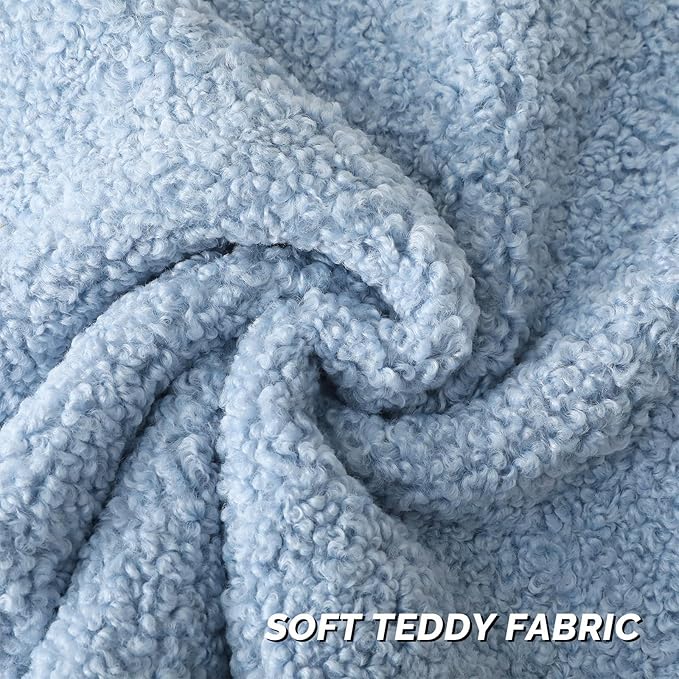 FUTEI Light Blue Throw Pillow Covers 18x18 Inch Set of 2,Furry Faux Fur Teddy Boucle Textured Cushion Covers,Soft Fluffy Decorative Pillow Case,Home Decor for Couch Bed Living Room Office Car