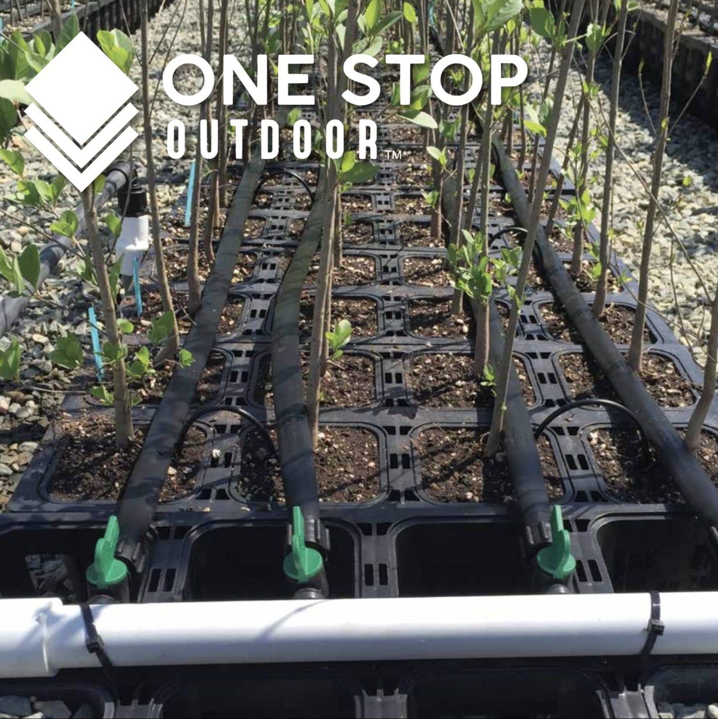 50 Pack 6" Inch Angled Drip Emitter Stake, (FITS 1/4" & 1/8" TUBING) for Precise Watering & Irrigation, Greenhouse, Container Gardening, Home Garden, and Hydroponics Growing