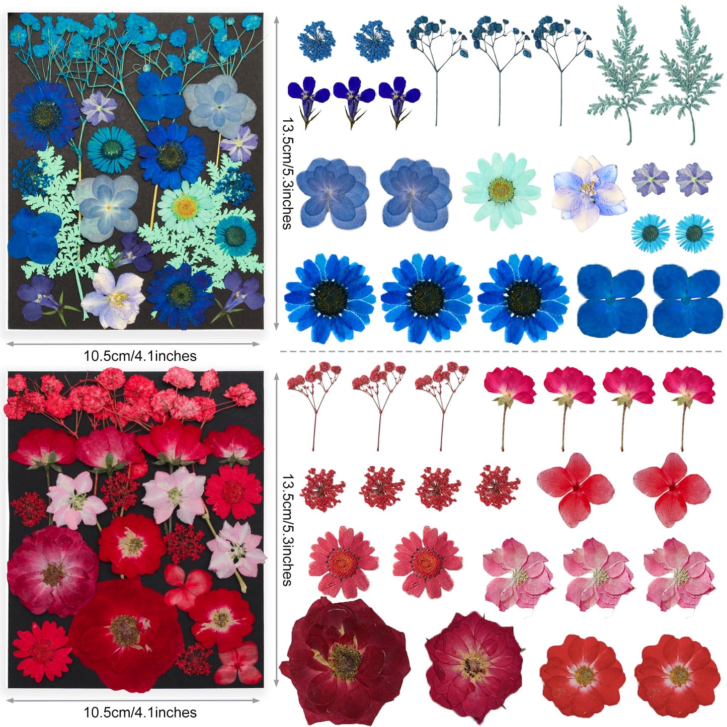 TrendCart 285Pcs 9 Packs Mixed Types Real Natural Dried Pressed Flowers & Leaves for Resin Molds, DIY Crafts, Jewelry Making + 100Pcs Butterfly Stickers + Tweezers