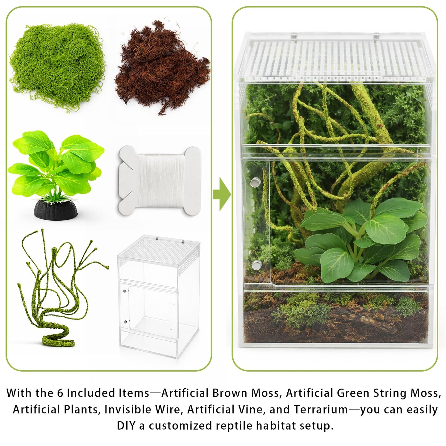 Jumping Spider Enclosure Kit, Waterproof Clear Acrylic Spider Terrarium, Front Opening + Top Access, Ventilated Insect Habitat with Moss Vine, Green Plant, 2 Moss Packs & Invisible Line (6-Piece Set)