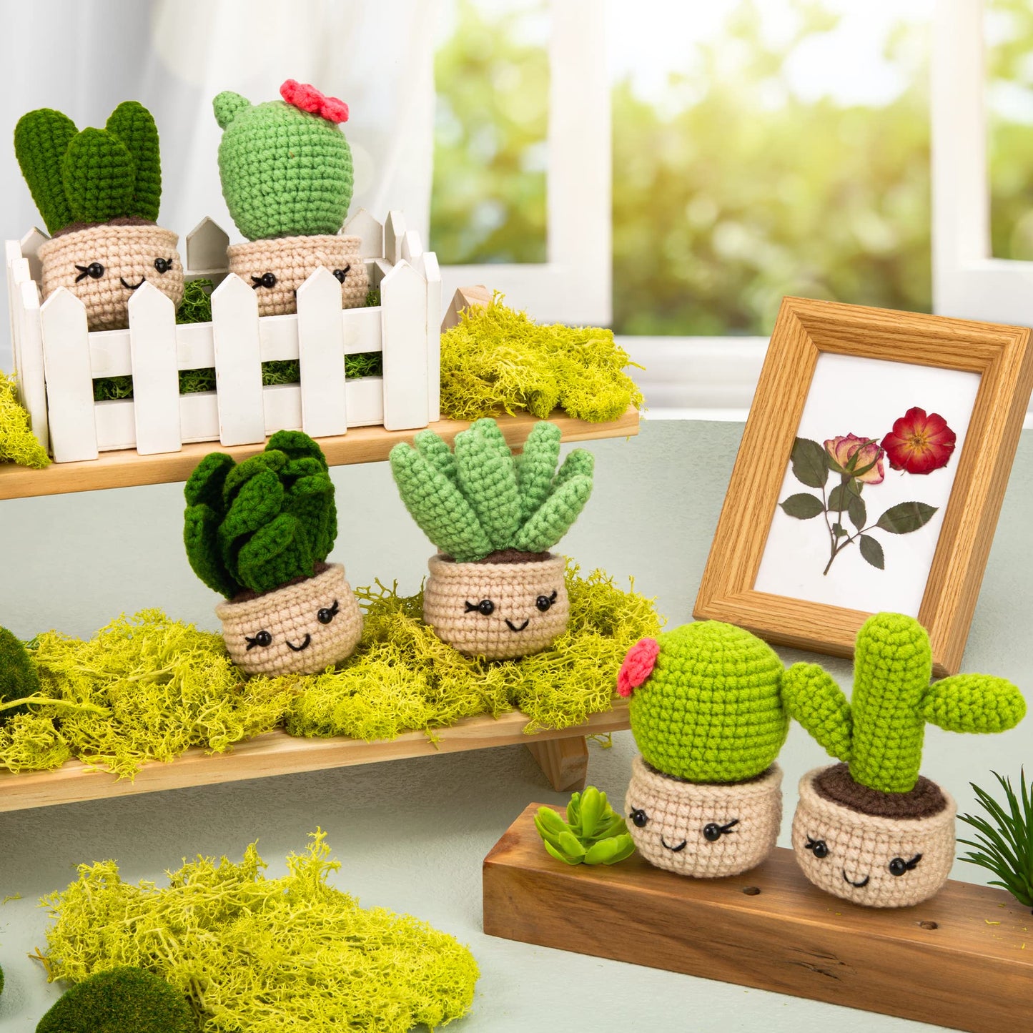 Karspor Crochet Beginner Kit, Beginner Crochet Starter Kit for Adult, Crochets Set- 6 PCS Crocheting Succulents, Step-by-Step Instructions & Video Tutorials, Learn to Knitting Kits for Adults Beginner