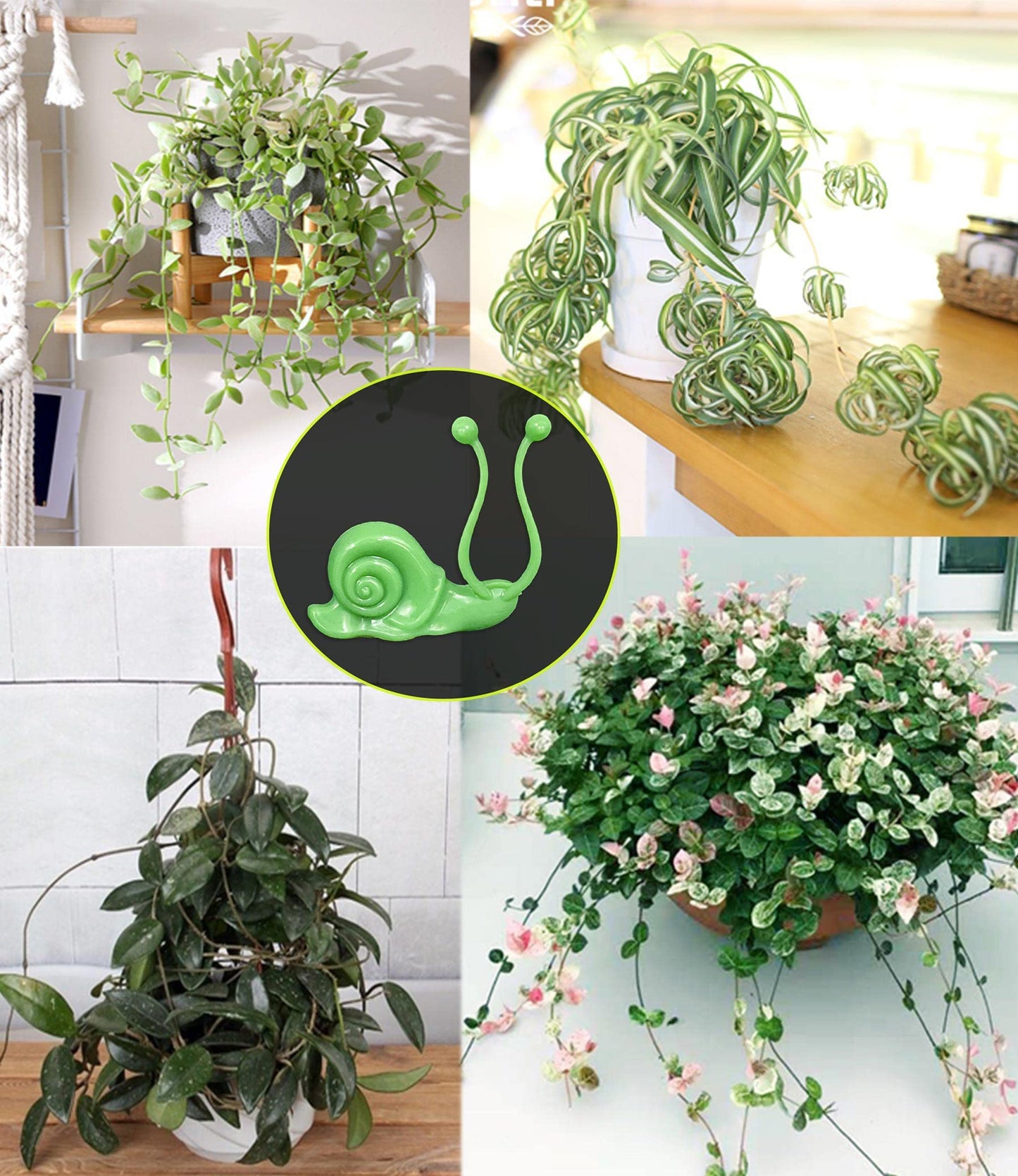 Lasyman 50PCS Plant Wall Clips: Vine Climbing Self-Adhesive Invisible Fixing Hook for Wall & Garden Decoration