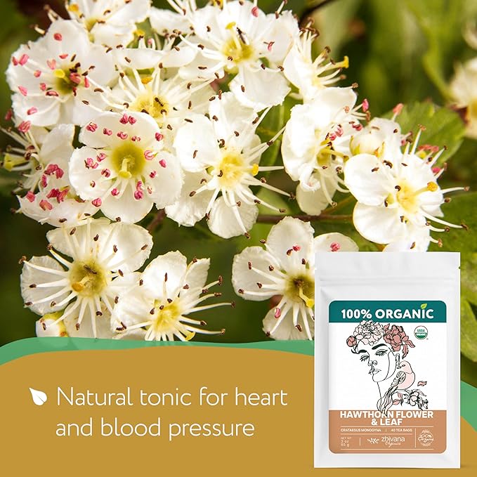 Hawthorn Tea Organic (40 Tea Bags) - Hawthorn Leaf Tea - Hawthorne TeaBags for Pressure Balance, Heart Health - Hojas de Espino Blanco