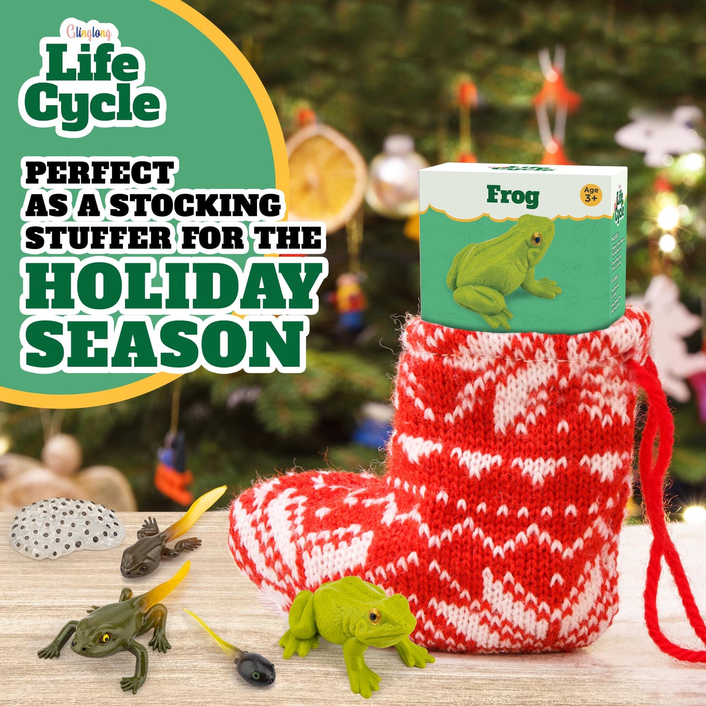 Life Cycle Kit Montessori - Realistic Figurine Toys, Animal Matching Game Frog Animals, Easter Basket Stuffers for Kids, Science Fun for Learning Education Toys