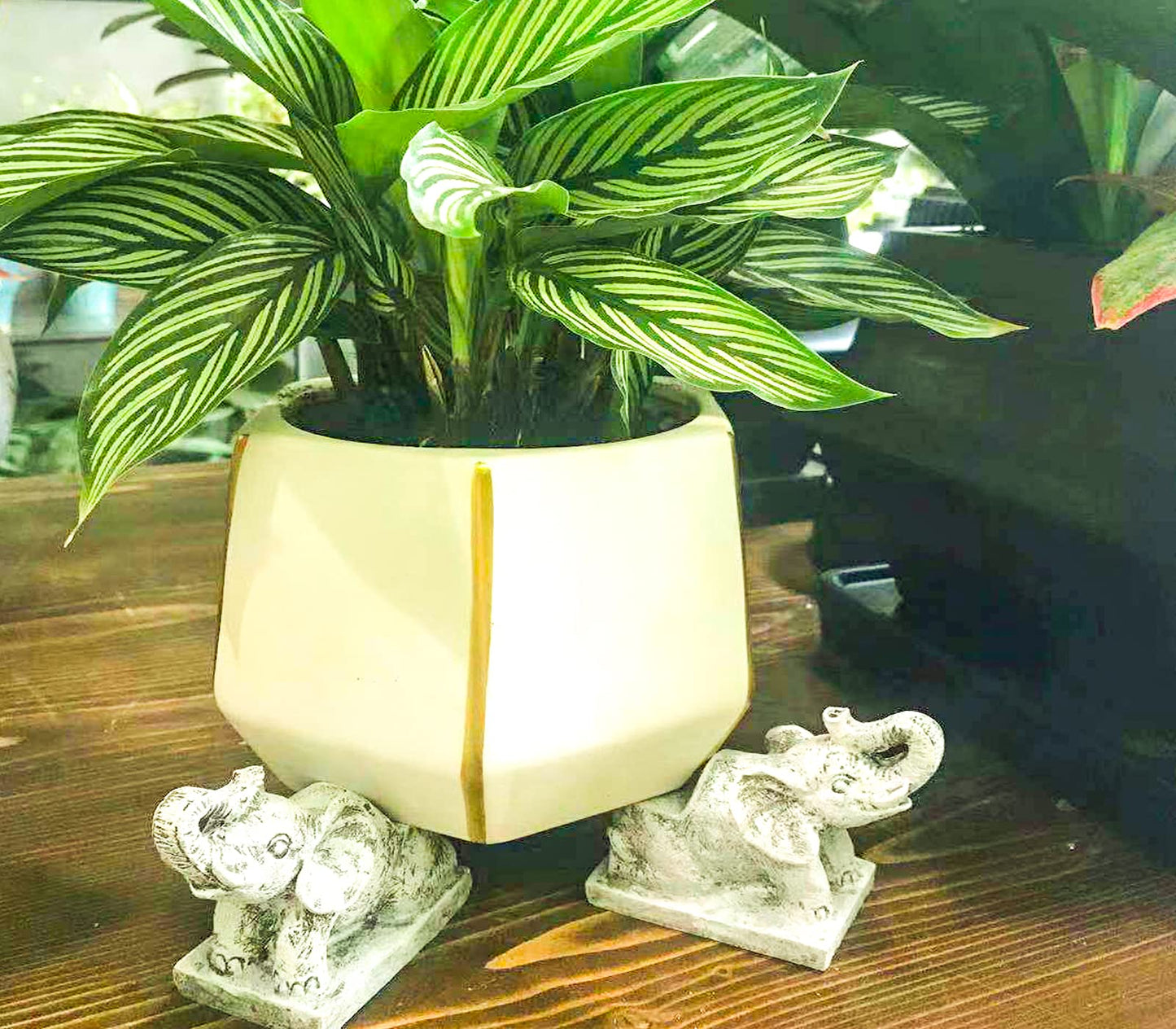 dgudgu Pot Feet for Outdoor & Indoor Planters - Elephant Shaped Planter Risers Improve Airflow & Drainage