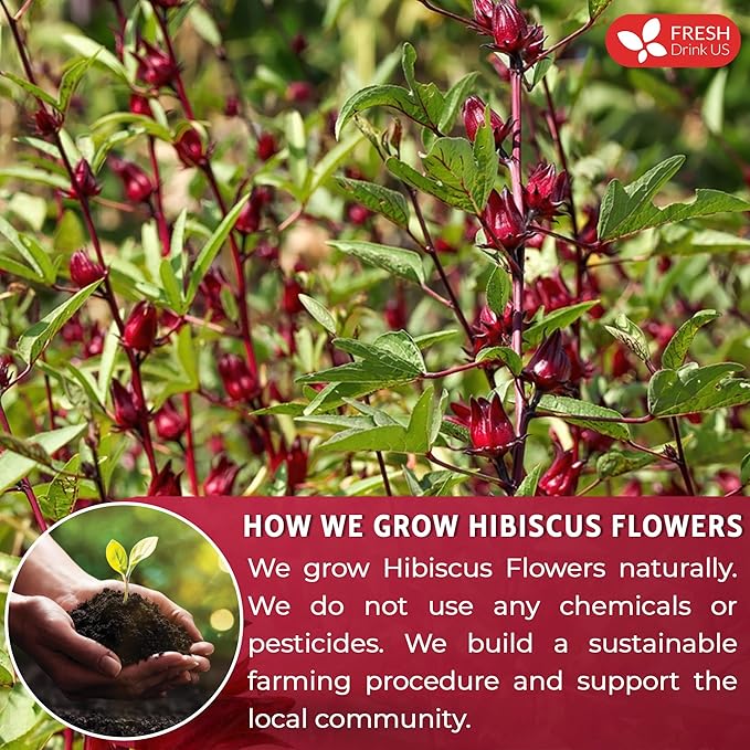 FreshDrinkUS Premium 100% Natural Hibiscus Flower Powder, 40oz - No Additives, Gluten, Sugar - Vegan