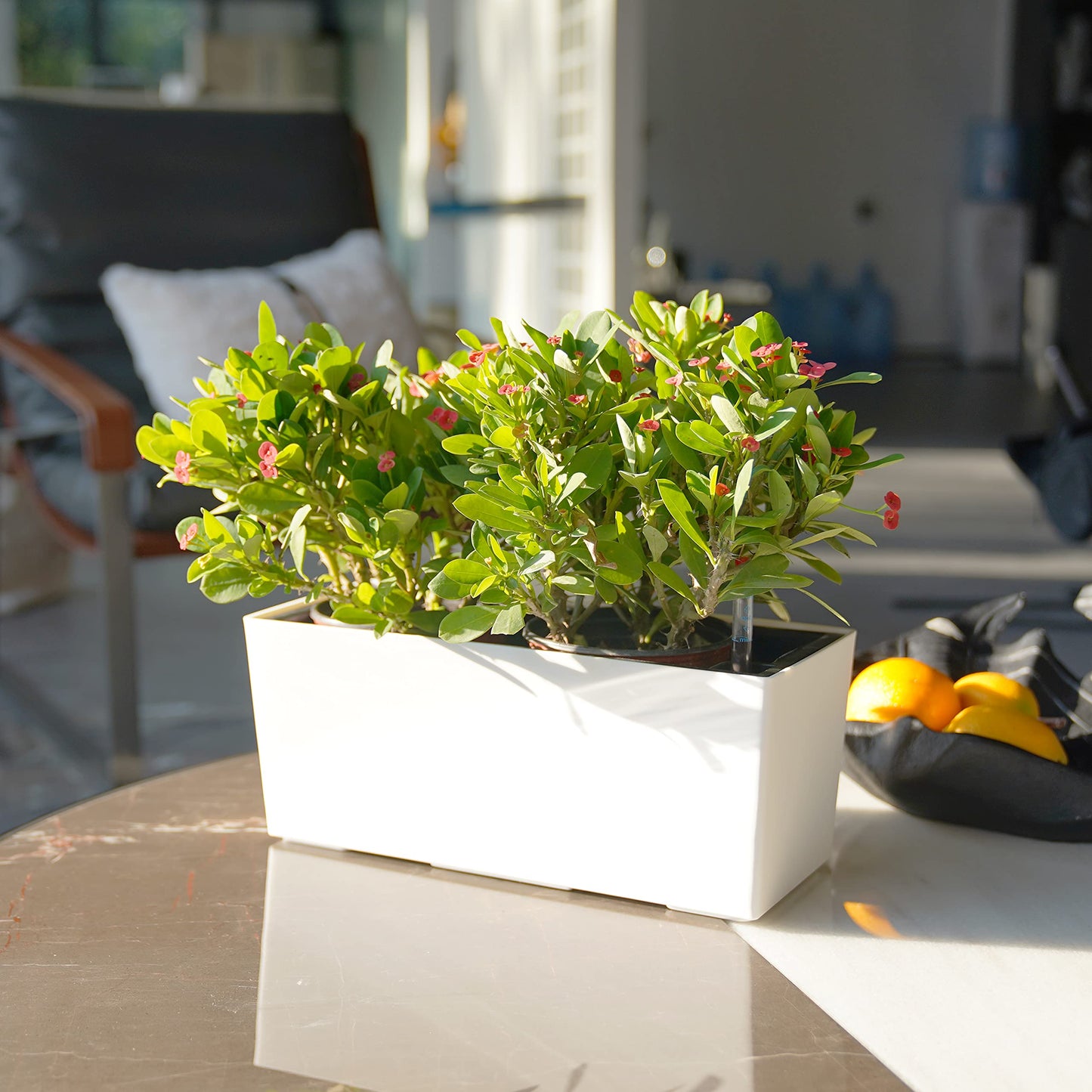 SAROSORA 14" Self Watering Planter Pots with Water Level Indicator, Rectangle Matte Plastic Window Box for Indoor Outdoor, Herbs Succulents Flowers House Plants (White)