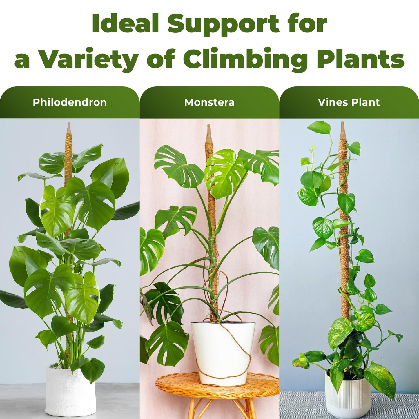 2 Pack 48'' Bendable Moss Pole Monstera Plant Support for Climbing Indoor Plants - Stakes for Potted Climbers - Tall Sticks Indoor Trellis for Houseplants - Accessories for Monstera Pot