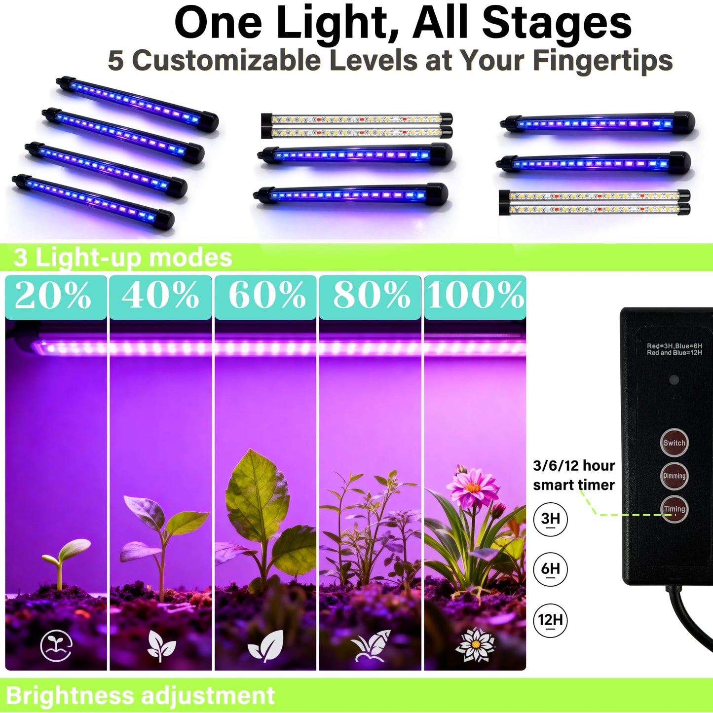 Beginner-Friendly Seed Starter Kit with Grow Light, Indoor Germination System for Faster Sprouting & Healthy Seedlings, Adjustable Humidity Dome for Herbs, Vegetables & Flowers, 72 Cells