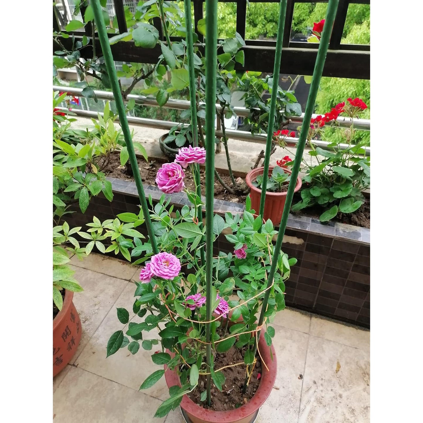 G-LEAF Garden Stakes 5 ft Plastic Coated Steel Tube Sturdy Metal Plant Sticks for Tomato,Cucumber,Bean,Tree,Pack of 25
