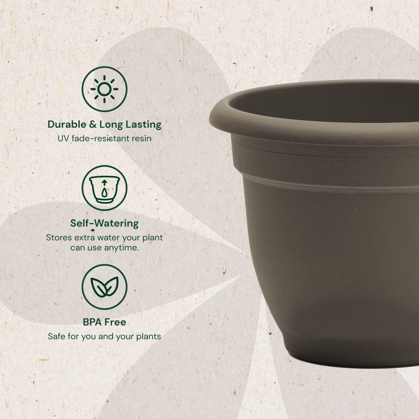 Bloem Ariana 12" Self-Watering Plastic Planter - Rolled Rim Indoor/Outdoor Garden Pot, Peppercorn, 2-Pack