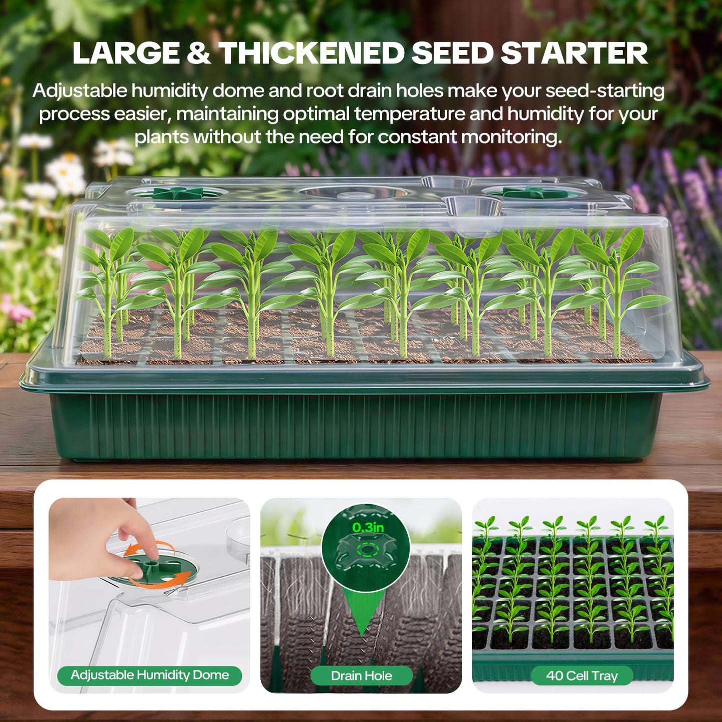 Qmioti Seed Starter Tray with Grow Light & Heating Mat, Digital Temperature Control, 40-Cell Seed Starter Kit with Humidity Dome, Reusable Seed Starter for Indoor Planting Seeds