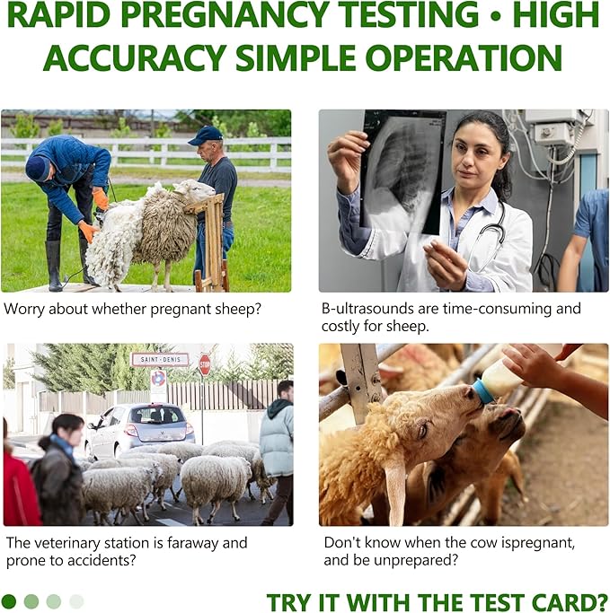 Sheep/Goat Pregnancy Rapid Detection Test （2pack）