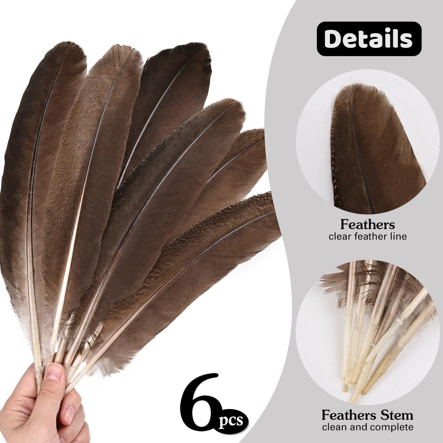 MehelloFeather Peacock Wing 11-14 Inch Natural Feather 6 Pcs Crafts for DIY Home Decoration Wedding Centerpieces Party Supplies
