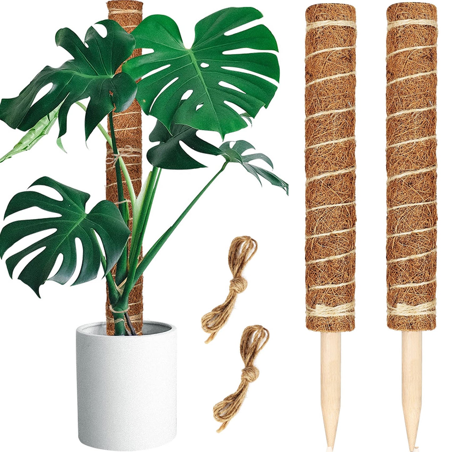 【2 Pack】 JJGoo Moss Pole, 2 Coco Coir Totem Poles Extending to 29 Inches, Plant Support Stick for Indoor Plants Climbing Plants Monstera, Sphagnum, Pothos
