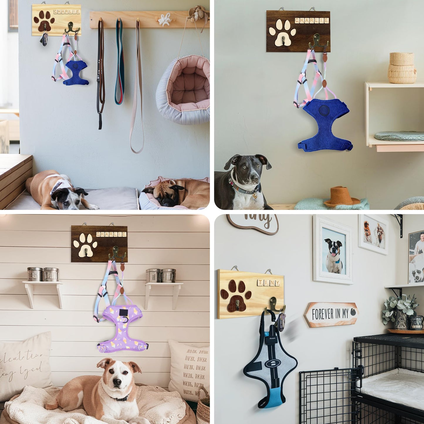 VINARTSVN 2 Pack Dog Leash Holder Wall Mount, Pet Harness Hanger with Scrabble Letters, Dog Collar Organizer for Entryway, Cat Leash Holder for Wall, Pet Loss Gifts, Keepsake, Home Decor PF218-CBN