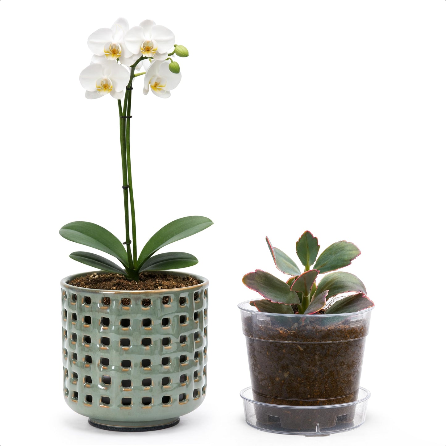 D'vine Dev 4.5 Inch Ceramic Orchid Planter with Lattice Cutout Design, Glazed Cachepot with Clear Nursery Pot & Detachable Saucer for Orchids and Indoor Plants, Olive, 28-A-Z-4