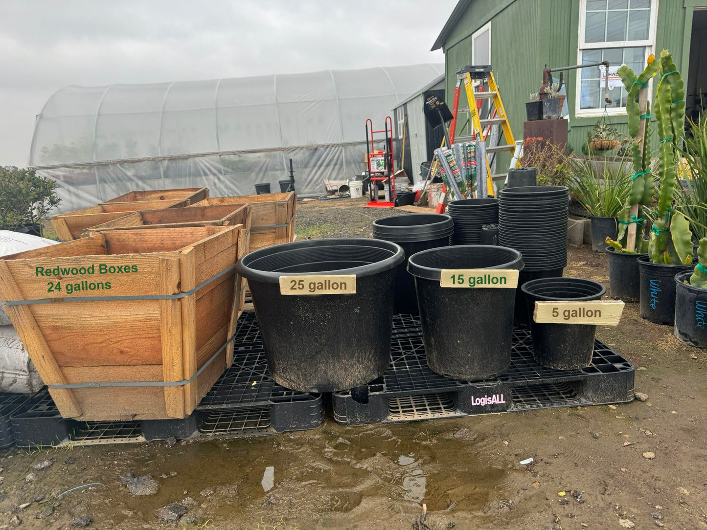 Green Oasis Premium 25 Gallon Nursery Pots (5 Pack) - Heavy Duty Injection Molded Black Plastic Planter Containers with Drainage Slots - 25" x 18.5" for Trees & Large Plants - Professional Grade