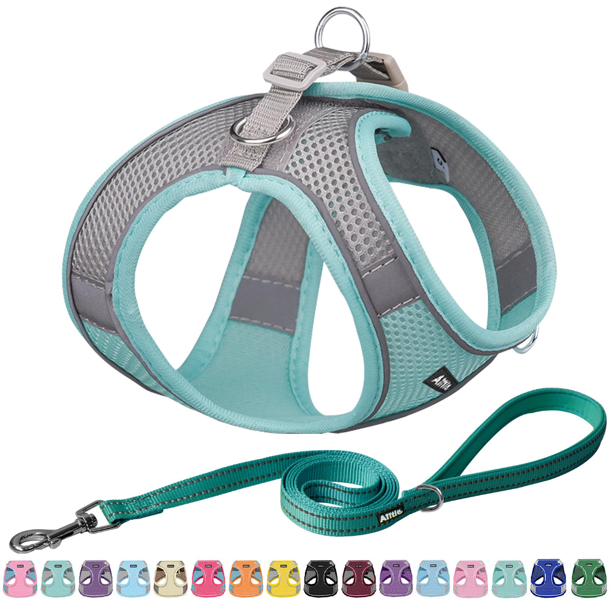 AIITLE Small Dog Harness and Leash Set, Step-in Puppy Pet Vest, Orange XXS