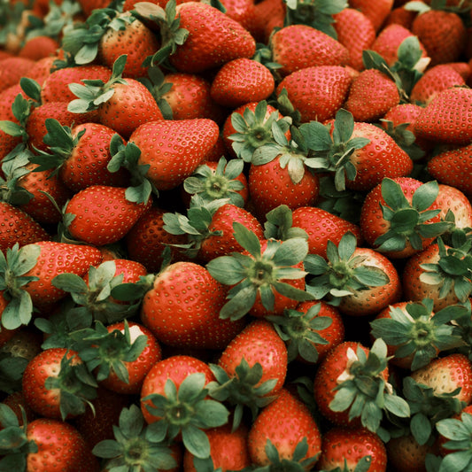 'Jewel' June Bearing Bare Root Strawberry Plants - Large Strawberries, High Yields, and Consistent Performance! from Hand Picked Nursery (5)