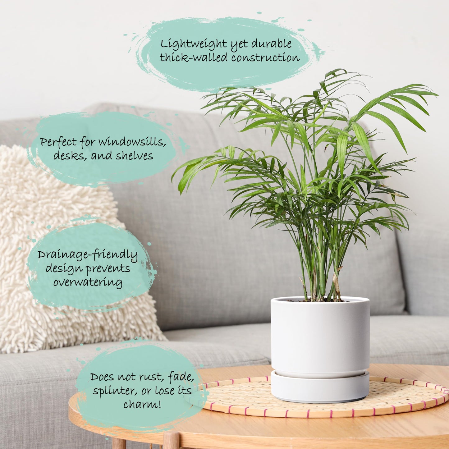 Phoenix Vine 6 Inch Planter Pot with Drainage Hole & Saucer, Deep Water Catch Tray, Straight Cylindrical Round Pot for Plants, Matte White, Pack of 4, 23-B-S-4
