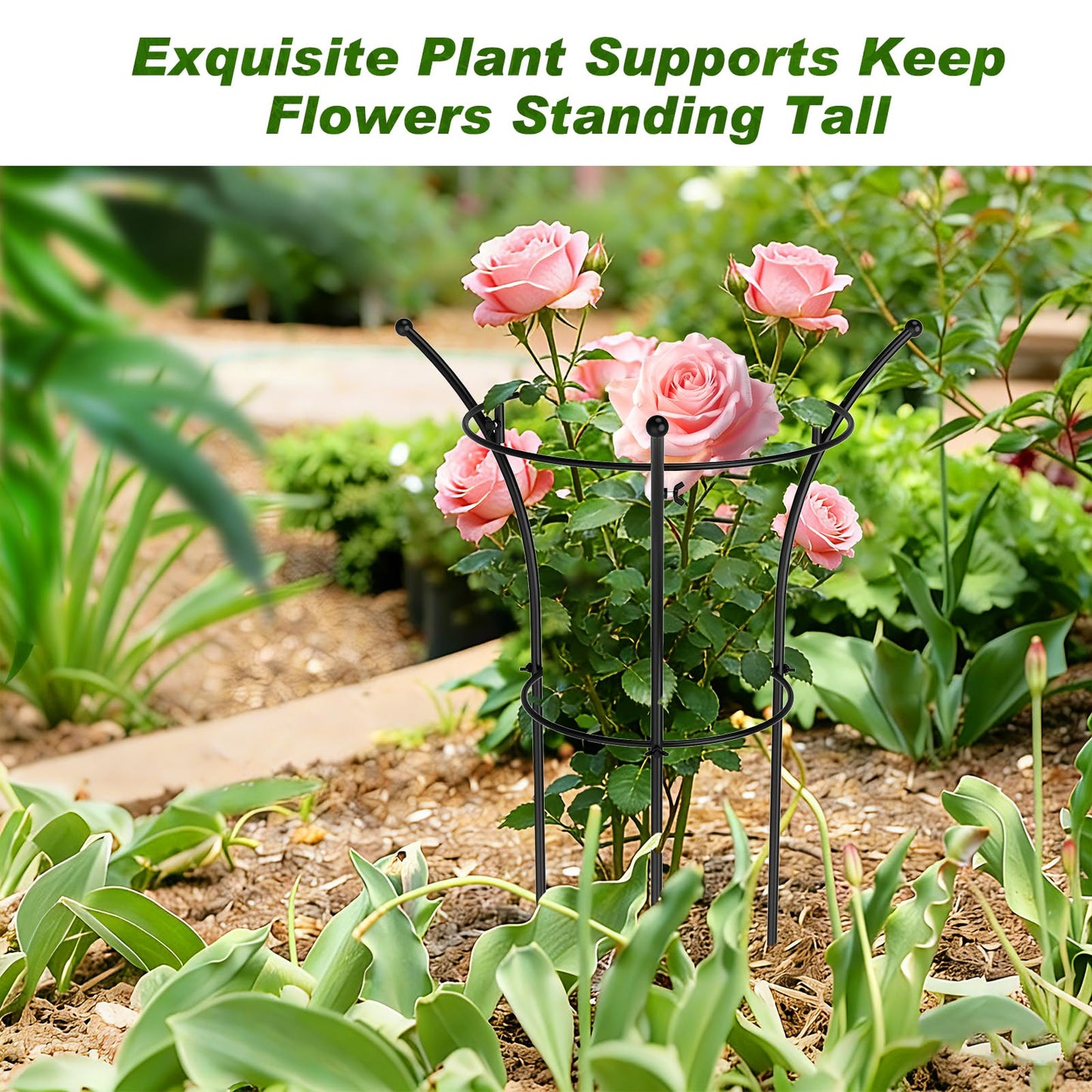 4 Pack Peony Cages and Supports, 12.5" Dx24 H Plant Supports for Outdoor Plants, Double-Ring Metal Peony Support Cage, Natural Bouquet Shape Plant Support Rings for Rose Tomato Hydrangea Strawberry
