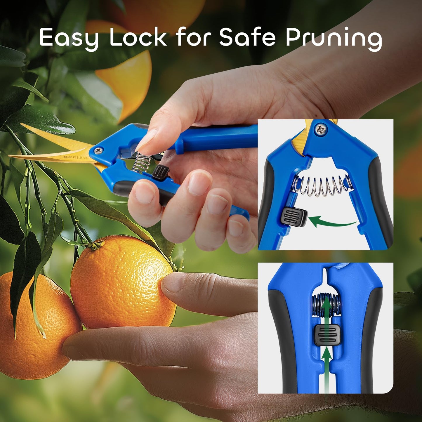 GROWNEER 3 Packs 6.5 Inch Pruning Shears with Curved Blades Trimming Scissors For Gardening Hand Pruning Snips Titanium Coated Precision Blades