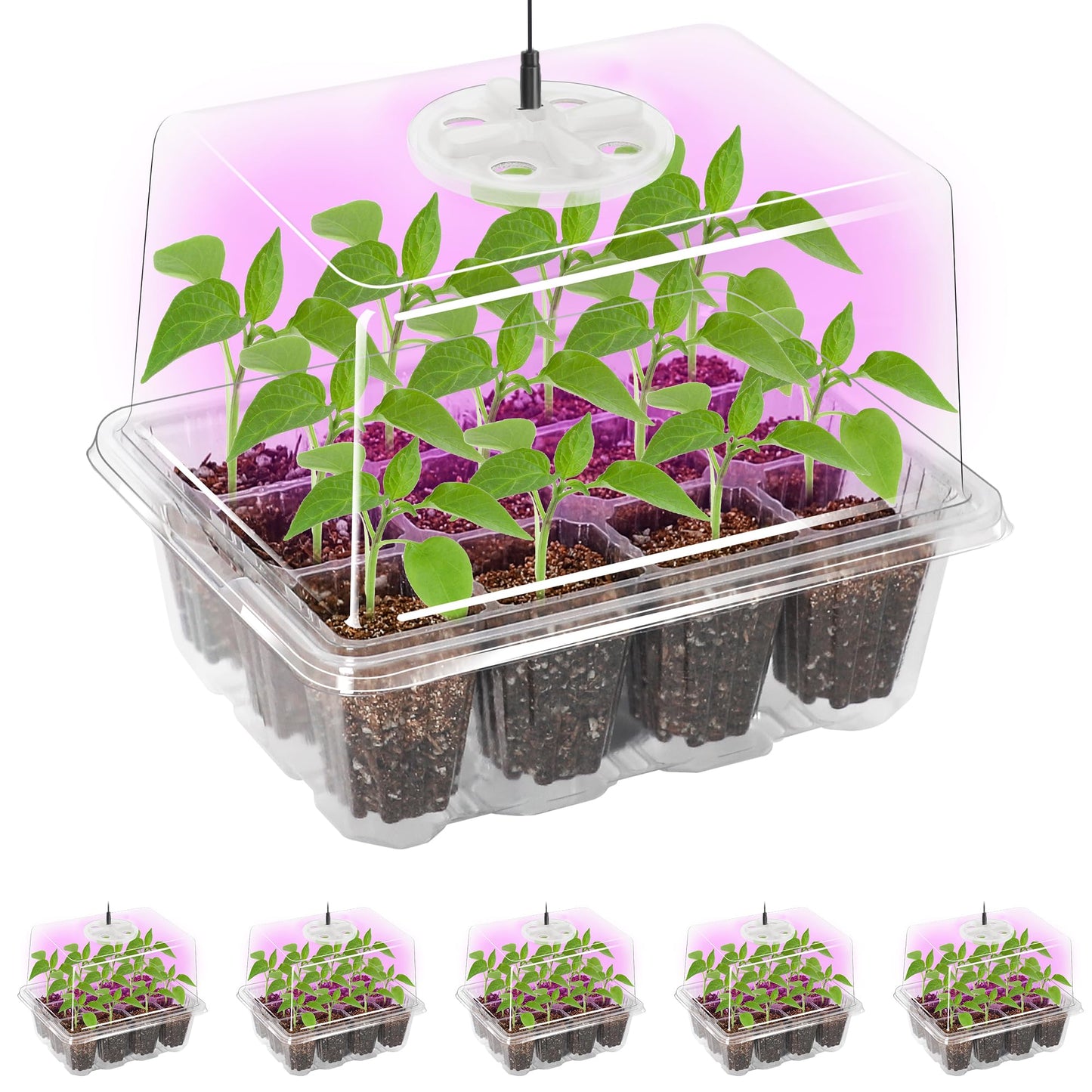 Bonviee 5 Packs Seed Starter Tray with Grow Light, Elevated Seedling Starter Trays Kits with Adjustable Humidity Domes and Clear Cell Tray, 12 Full Spectrum led lamp Beads for Plants Indoor-Clear