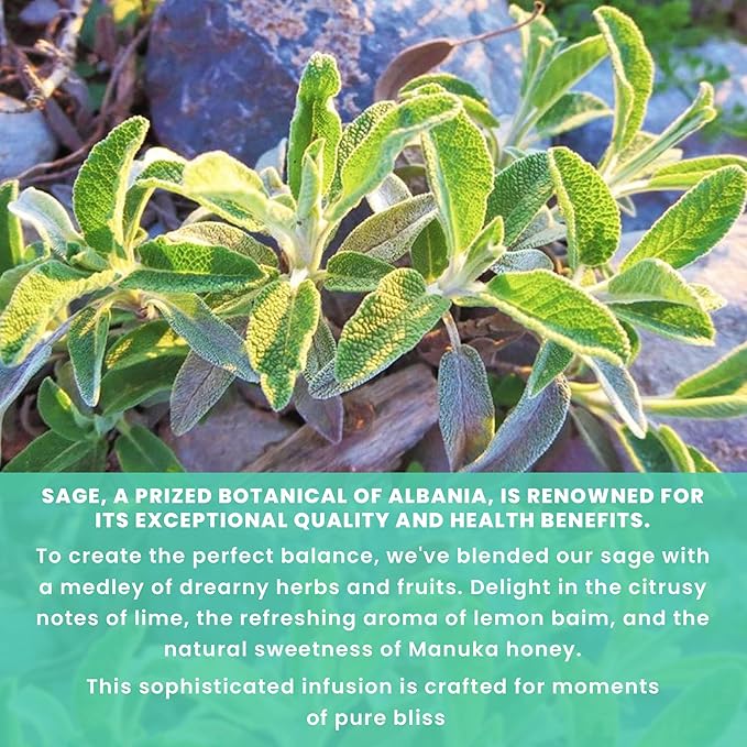 SAGE & HONEY, 100 Loose Leaf Tea Bags THE SIGNATURE OF ALBANIAN HERBS