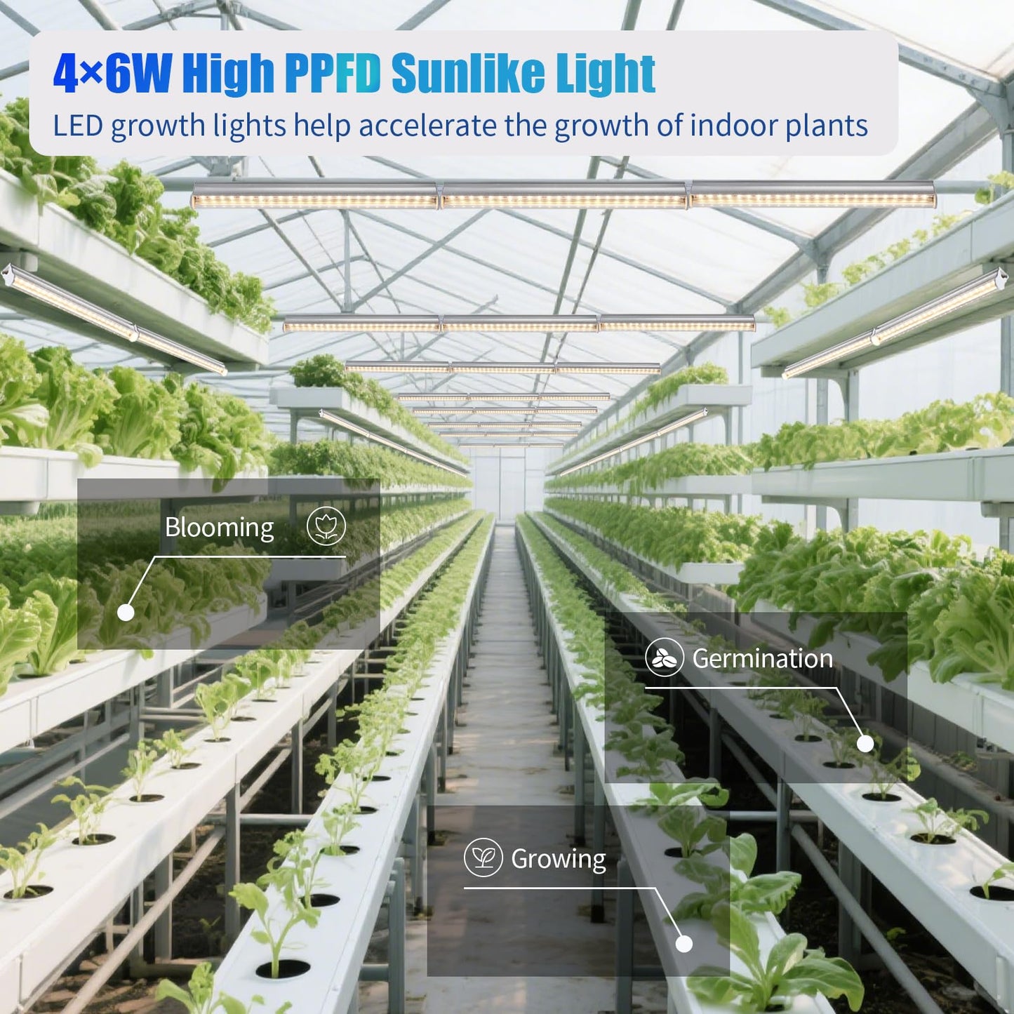 Hywyimlait 1FT Indoor Plant Grow Light, Full Spectrum Sunlight, T5 Grow Lamp with Side Switch, LED Growth Light Bulb, Plug and Play, Easy Installation, Suitable for Greenhouse Seedlings, 4 Pack