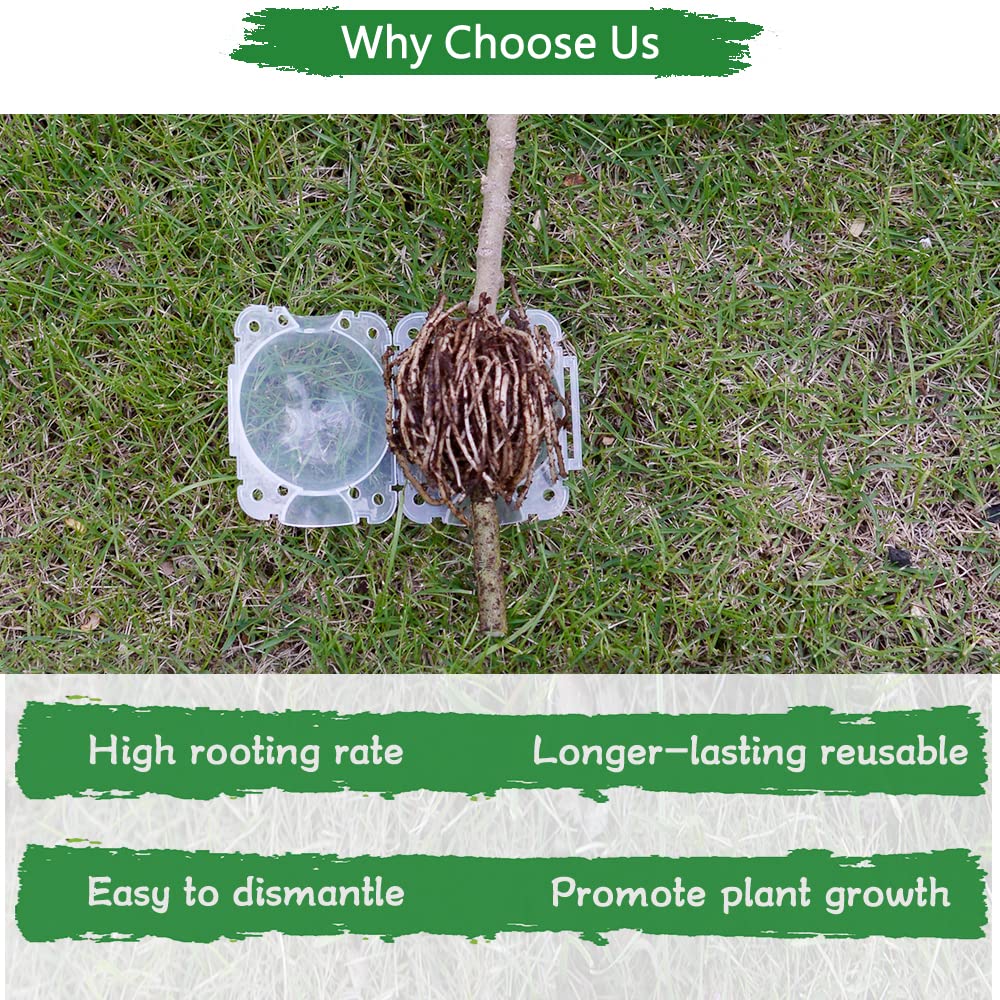 Supking 8 Pcs Air Layering Pods Plant Rooting Grow Propagation Ball Small Transparent Assisted Cutting Rooting Grafting Device Root Box for Plants