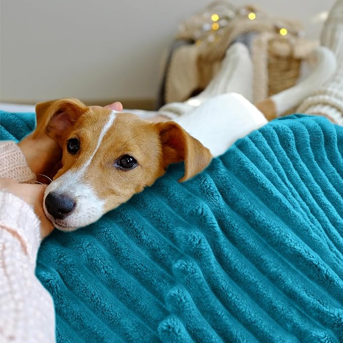INFIIXSO Sherpa Fleece King Size Blanket - Super Soft & Warm Striped Fleece, Cozy Plush Fluffy Large Bed Blanket All Season Use (Teal, 104x90 Inches)