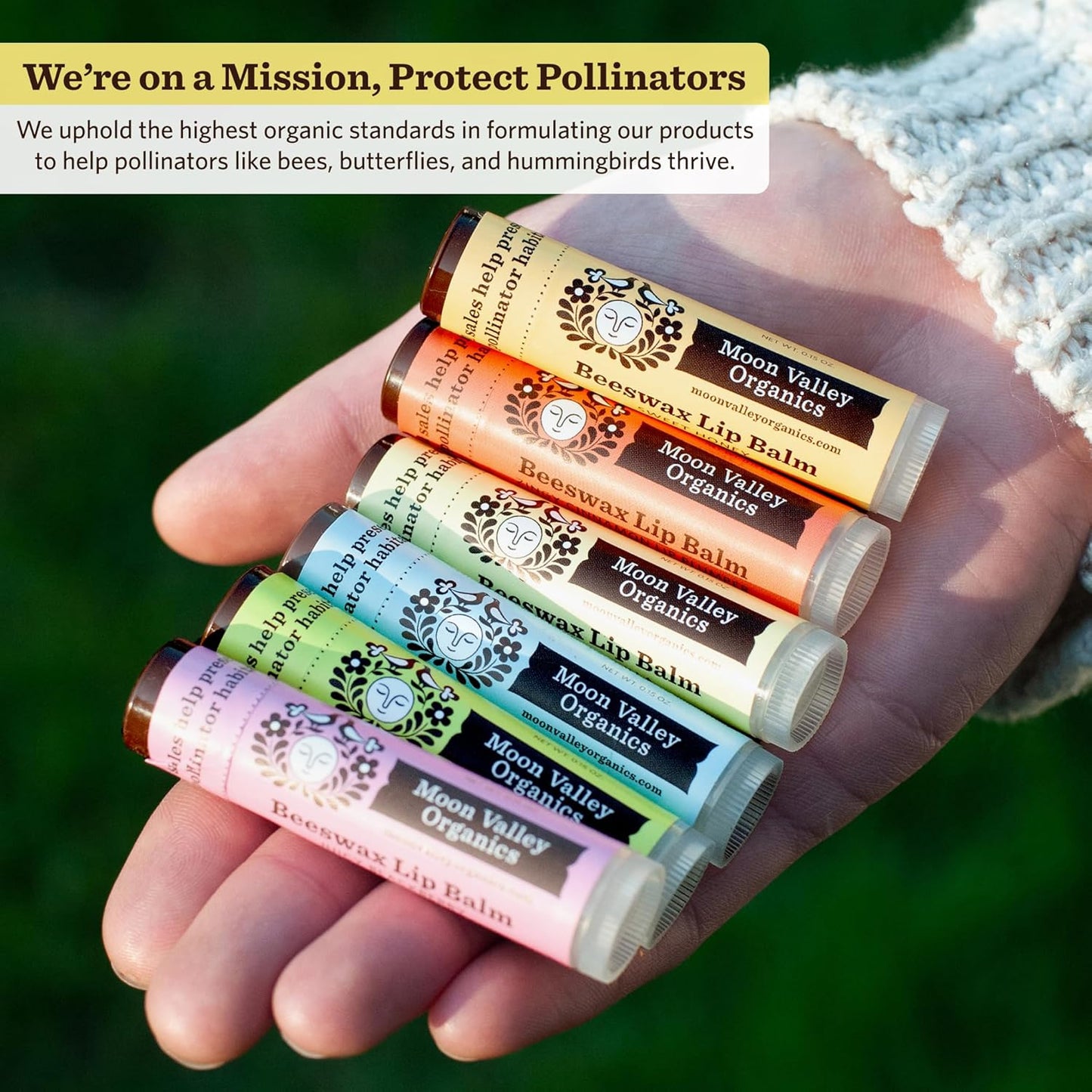 Moon Valley Organics Beeswax Lip Balm for Moisturizing Lips and Cuticles (Coconut Lime | Honey | Mint Vanilla | Vanilla (2) | Blackberry, 6-Pack)