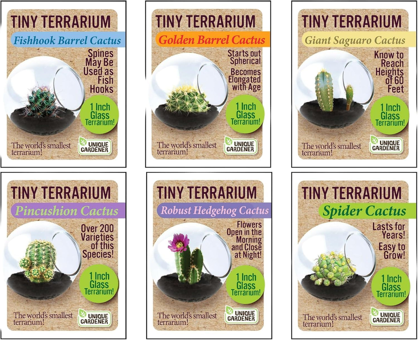 Unique Gardener Tiny Terrarium Plant Seeds 6 Variety Cacti Pack, DIY Indoor Succulents and Live Plants for Home or Garden Planting, Assorted Cacti Pack