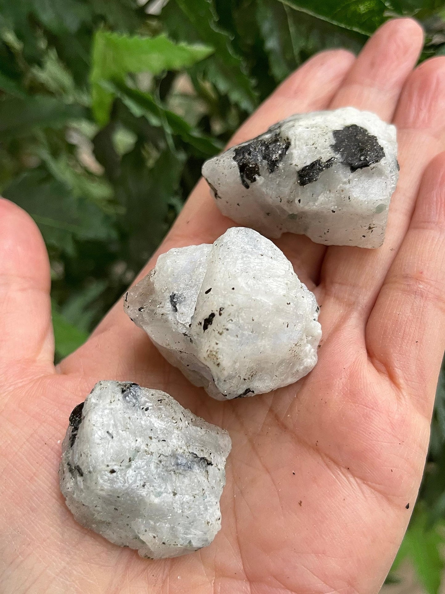 GAF TREASURES Wholesale Raw Rainbow Moonstone Crystals, Natural Rainbow Moonstone Stone, Rainbow Moonstone Rough, Rainbow Moonstone Healing Crystals (Rainbow Moonstone, 0.5 Pound)