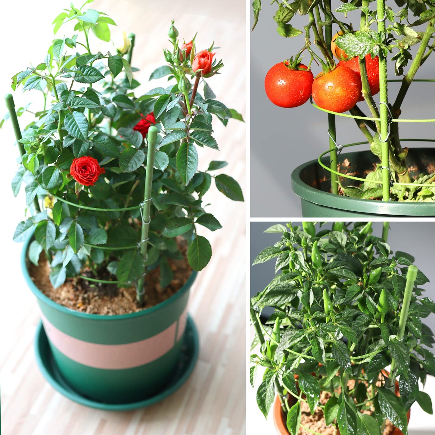LEOBRO 4 PCS Metal Plant Cages, Tomato Cages, Metal Garden Plant Supports, Plant Trellis, Plant Stakes for Tomato, Climbing Plant, Flower, Seedlings, 17.7" High, 7.1"/7.87"/8.66" Inner Diameter