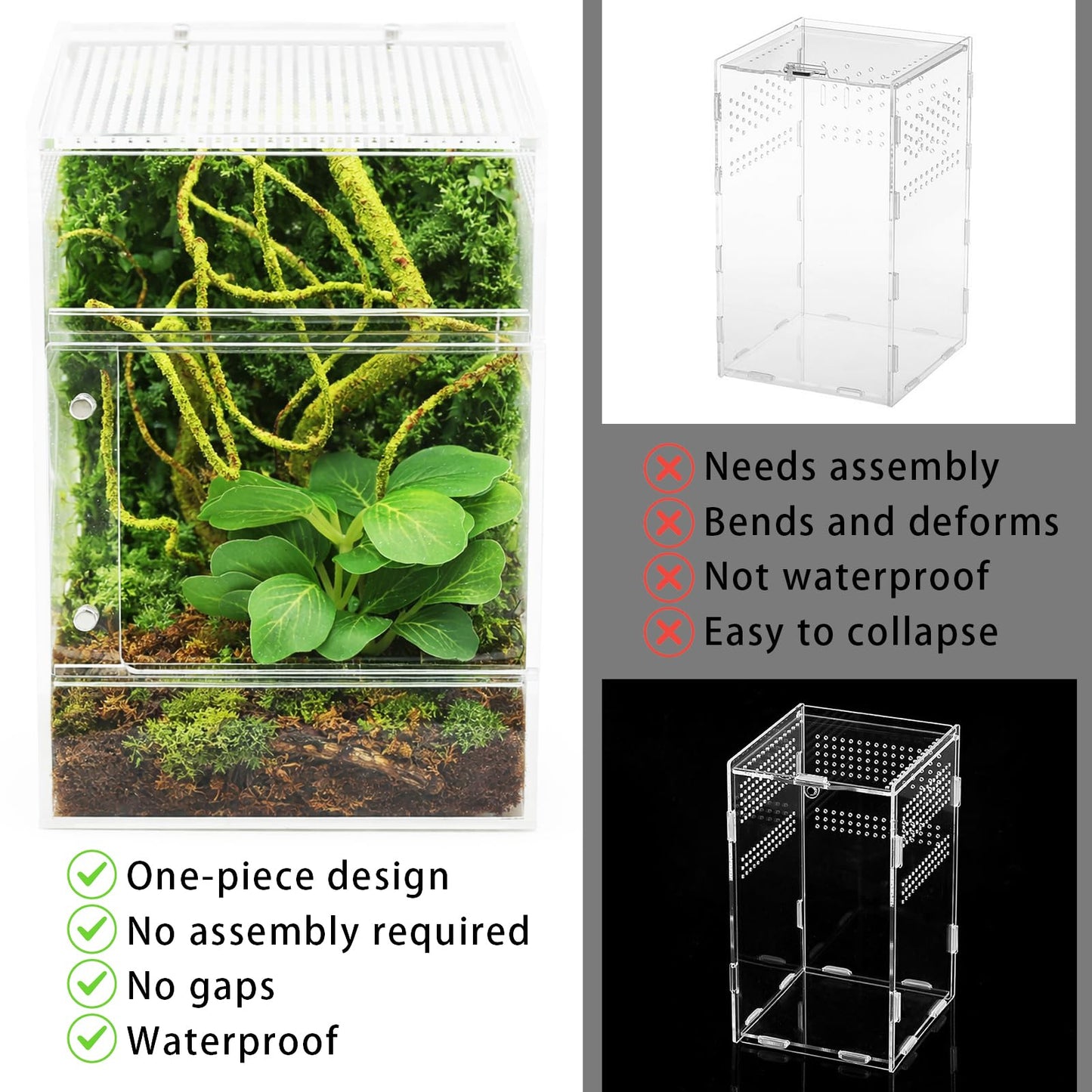 Jumping Spider Enclosure Kit, Waterproof Clear Acrylic Spider Terrarium, Front Opening + Top Access, Ventilated Insect Habitat with Moss Vine, Green Plant, 2 Moss Packs & Invisible Line (6-Piece Set)