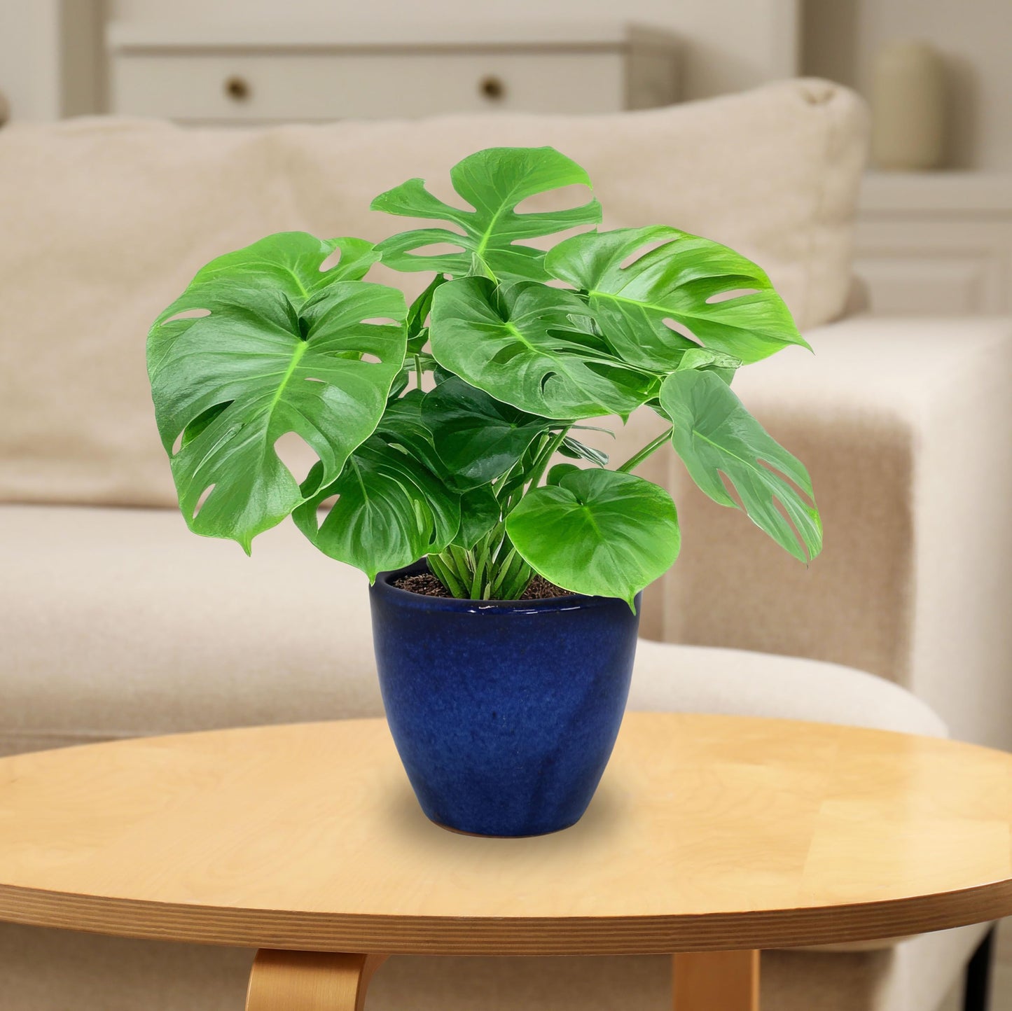 Sunnydaze Resort Round Ceramic Planter - Set of 2 Indoor or Outdoor Plant Pots with Drainage Hole - 8" - Imperial Blue Glaze
