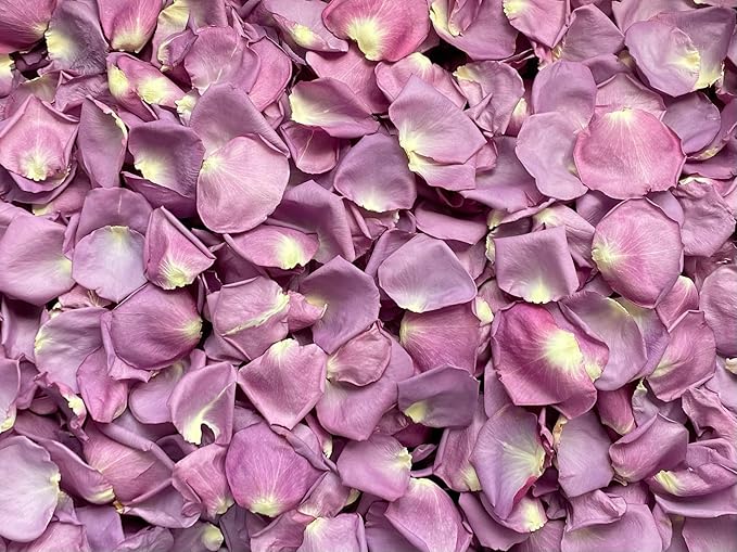 Rose Petals for Wedding Decoration, Bridal Toss, and Aisles, 10 cups, Freeze Dried, Use within 1 month (Purple)