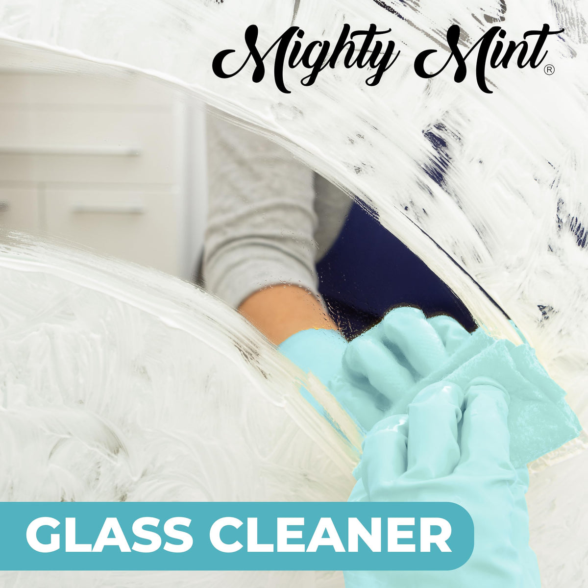 Glass Cleaner (16 Fl Oz)