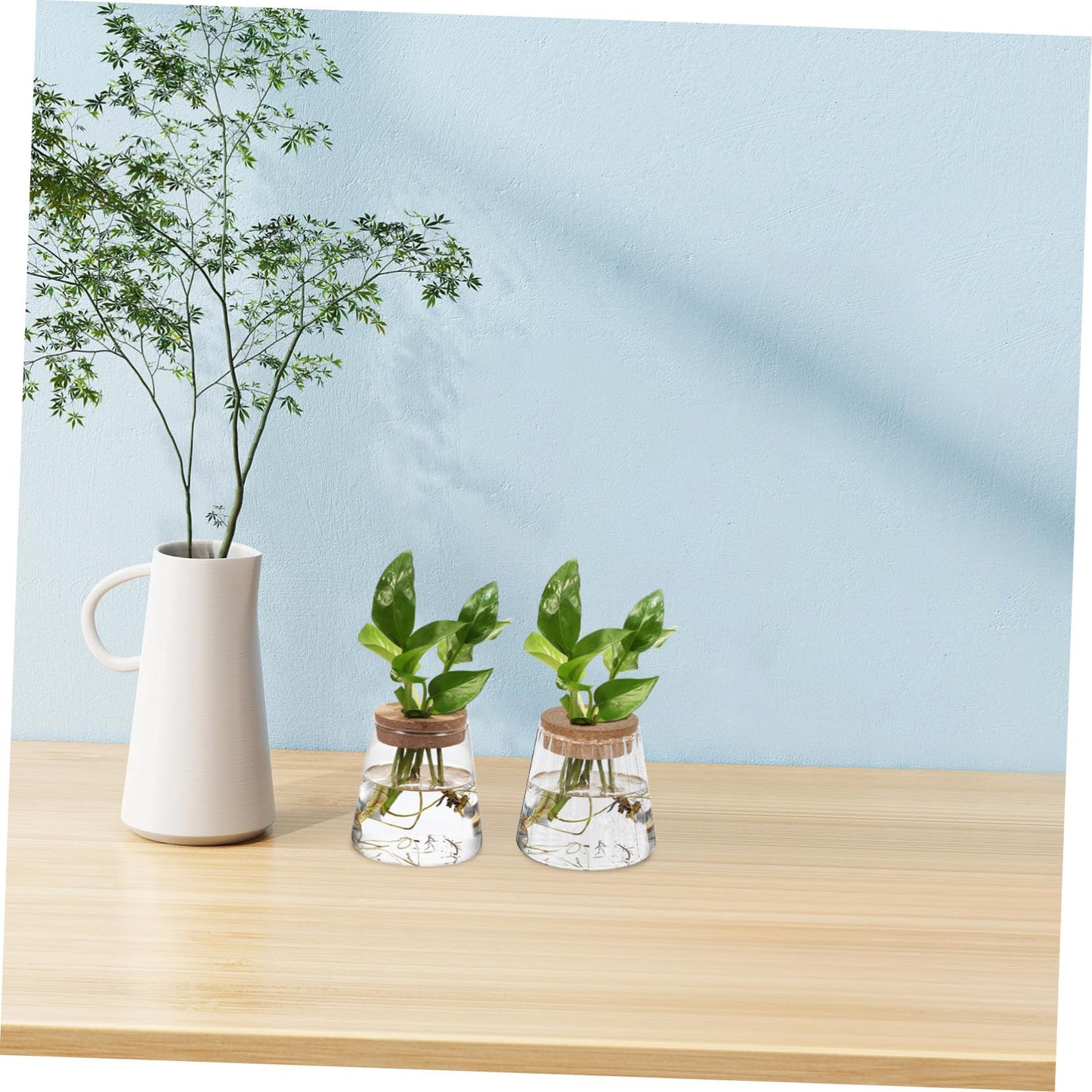 ibasenice 3Pcs Glass Hydroponic Plant Vases Compact Indoor Gardening Terrarium for Avocado Propagation Modern Desktop Decoration for Home Office Versatile Plant Propagation Jars