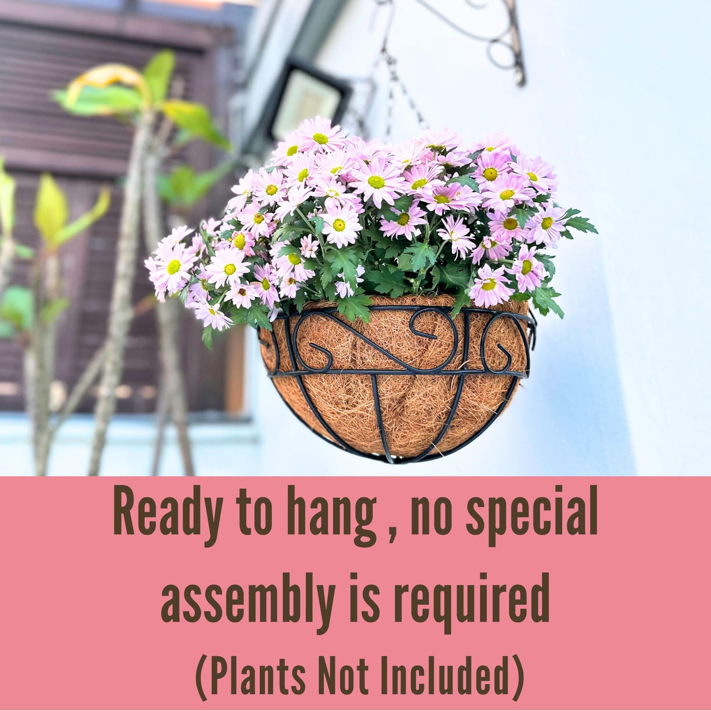 LaLaGreen Hanging Planter for Outdoor Plants (12 Inch, 6 Pack) Hanging Baskets with Coco Liner, Black Metal Wire Flower Basket Pots with Hook Hanger Balcony Porch Farmhouse Country Style Garden Decor