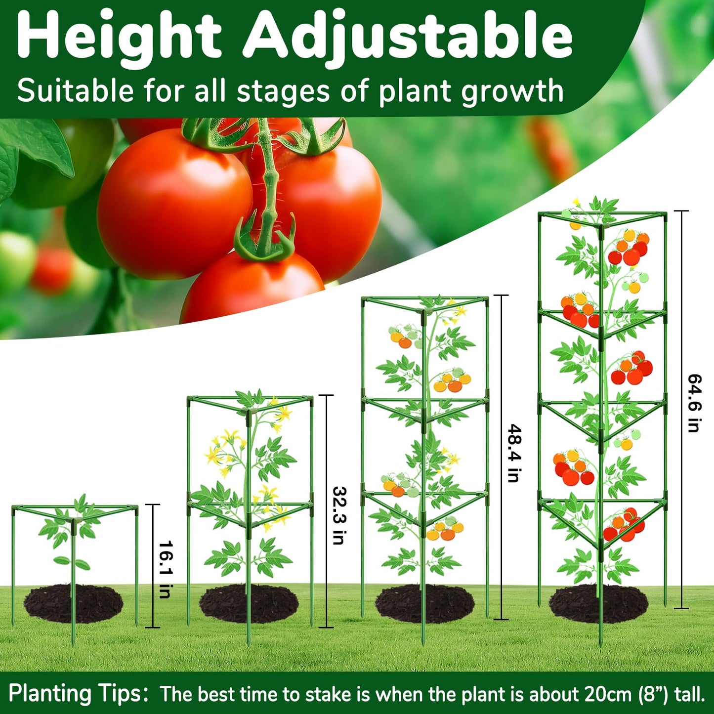 ZeeDix 6 Pack 65 Inch Tall Tomato Cages for Garden, Heavy Duty Large Plant Trellis Support Stakes for Climbing Plants, Adjustable Tomatoes Cage for Pots & Outdoor Raised Garden Bed
