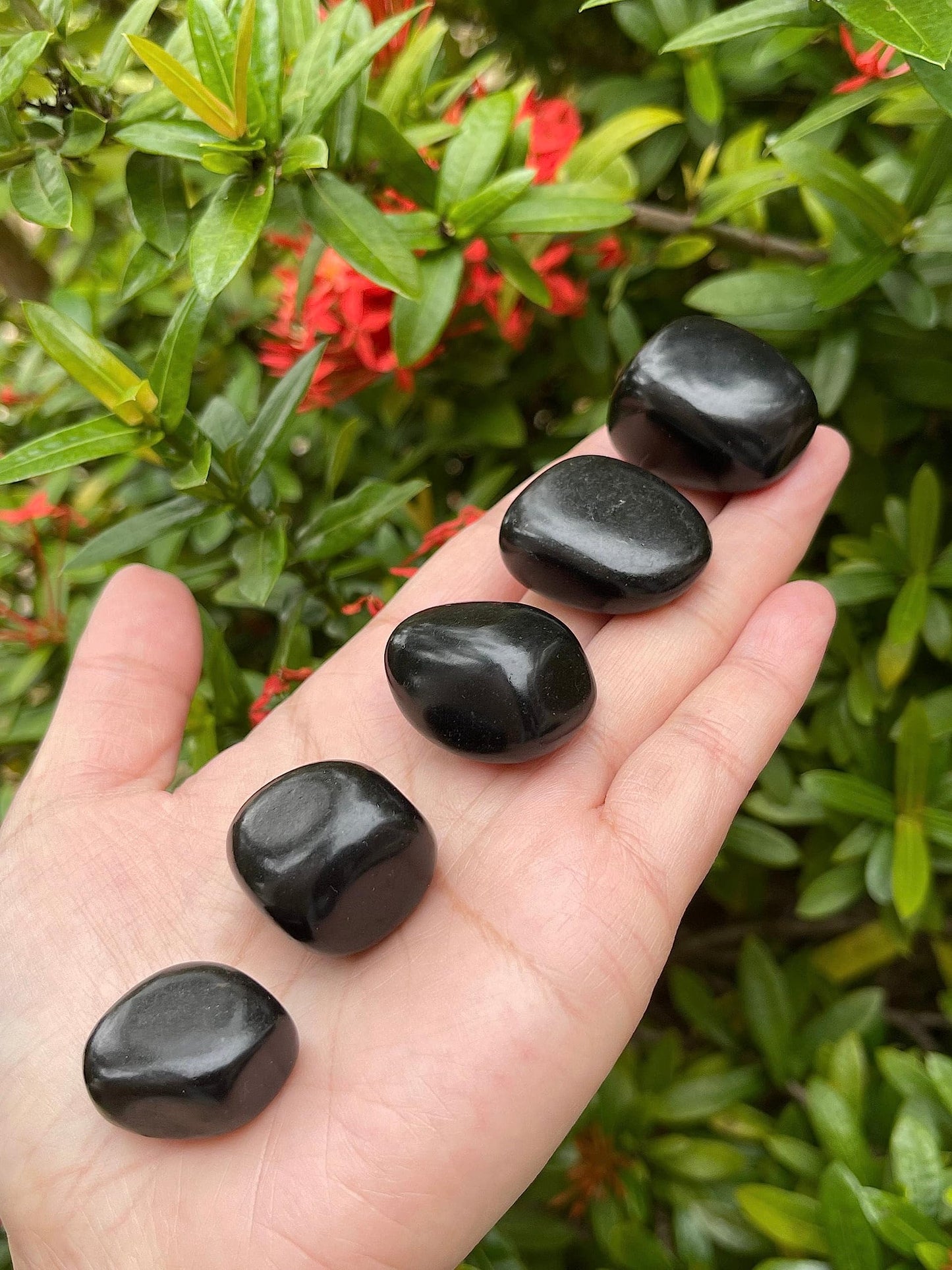GAF TREASURES 5 Pcs Jet Tumbled Stones, Polished Jet Gemstone, Jet Healing Crystals (Jet)