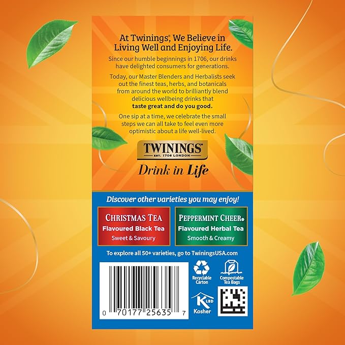 Twinings Winter Spice Herbal Tea Individually Wrapped, 20 Count (Pack of 6), Camomile, Apple, Cinnamon, & Clove, Caffeine-Free, Enjoy Hot or Iced, 120 Teabags
